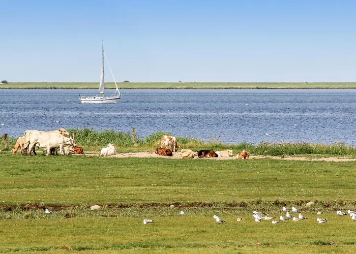 Heimathafen Vakantiehuis